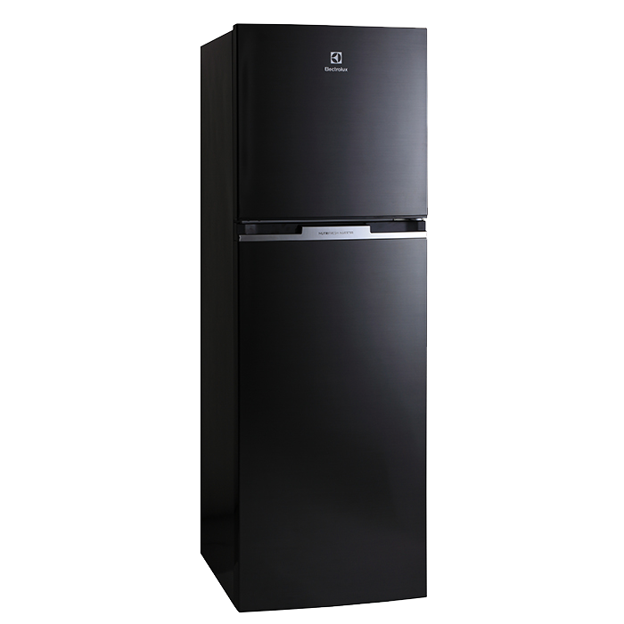 320L Inverter 2 Door Fridge ETB3200BG Electrolux Philippines